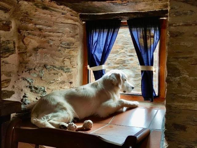 Casa Rural Bierzo Encantado Valle de Finolledo 外观 照片