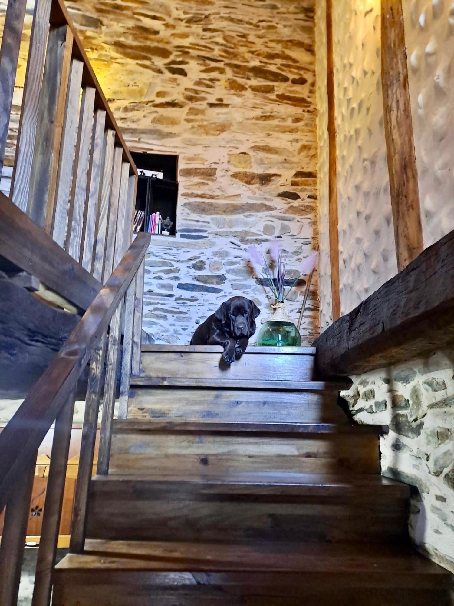 Casa Rural Bierzo Encantado Valle de Finolledo 外观 照片